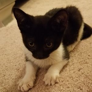 Meet your Posher, Eric